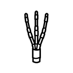 sarcable